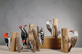 Aviologie | Woodpecker - Pileated - 13"H -Carved Wooden Ornament