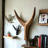 The African Home Goods | Nguni Head Black Iroko | Animal Head Wall Decor| Handmade Farmhouse Decor - Black