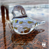 Glass Roots | Nesting Bird