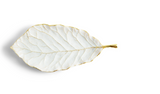 Michael Aram | Winter Leaves Magnolia Dish