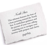 Pyrrha | 14k and silver "North Star" Talisman Necklace
