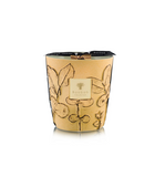 Baobab | Folia Garrigue