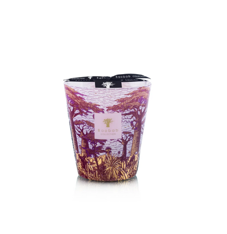 Baobab | Sacred Trees Massasso - Candle