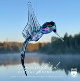Glass Roots | Humming Bird
