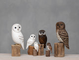 Aviologie | Owl - Saw Whet - 10"H - Hand Carved Ornament