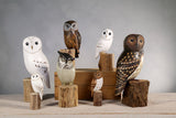 Aviologie | Owl - Screech -8.5" High -Carved Wooden Ornament