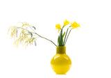 Vitreluxe | Calyx Vase