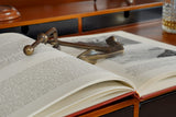 Cape Horn Anchor